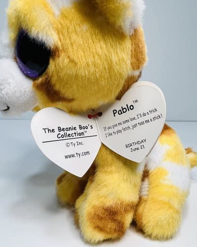 TY The Beanie Boo's Collection PABLO Dog The Chihuahua 8” Stuffed Animal Toy - Thumbnail 7