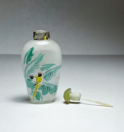 Vintage Antique Chinese Reverse Painted Glass Birds Motif Snuff Bottle in Box - Image 1