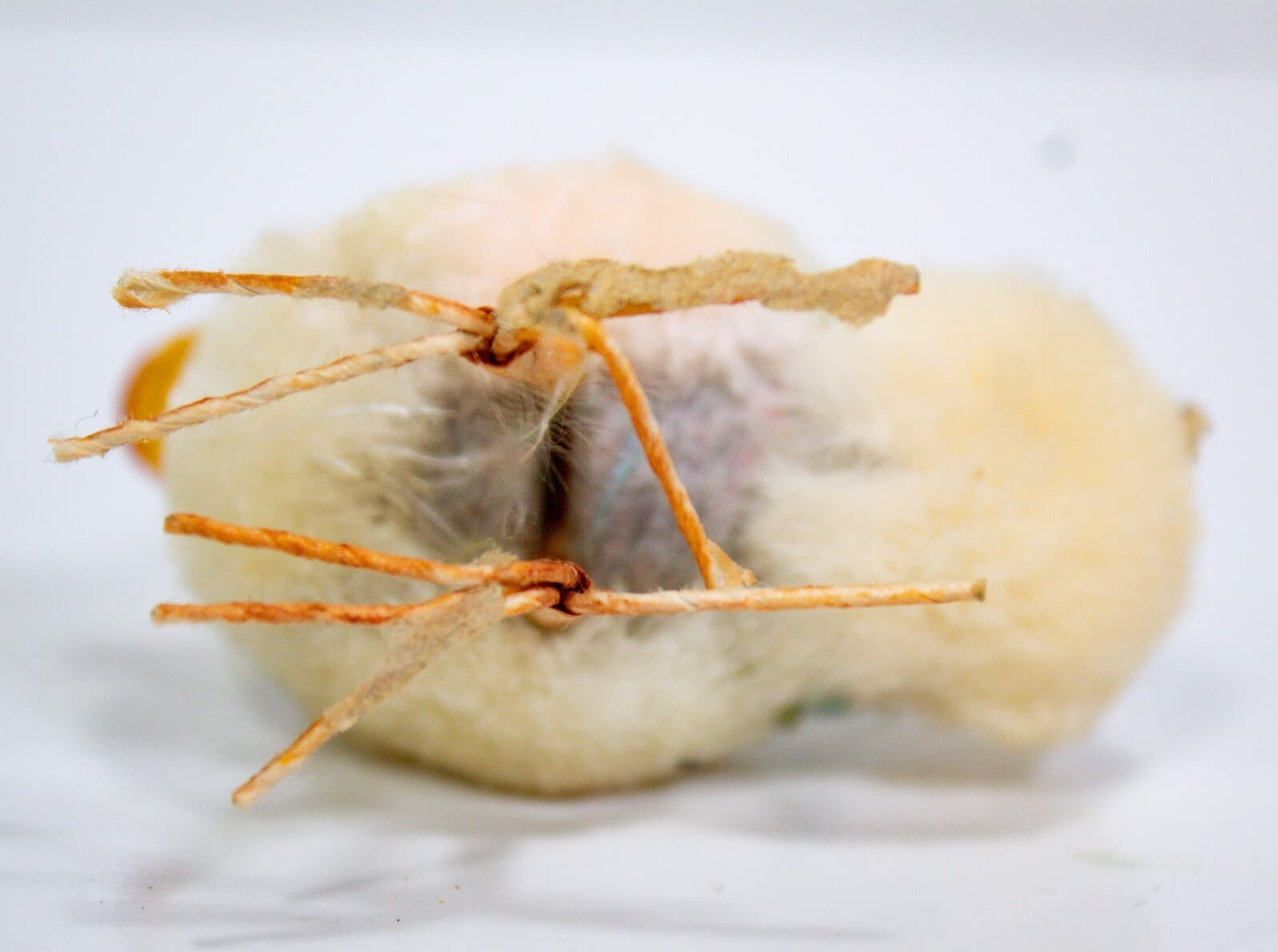 Japan Vintage Miniature Easter Yellow Chenille Pom Pom Chick Figurine - Thumbnail 5