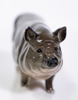 Vintage ROYAL DOULTON Vietnamese Pot Belly Porcelain Pig Figurine - Thumbnail 4