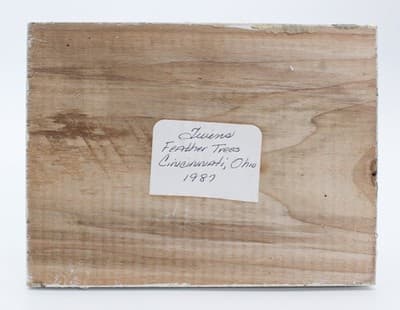 1987 TWINS Feather Trees Spun Cotton Antique Style Christmas St. Nick Santa - Thumbnail 14