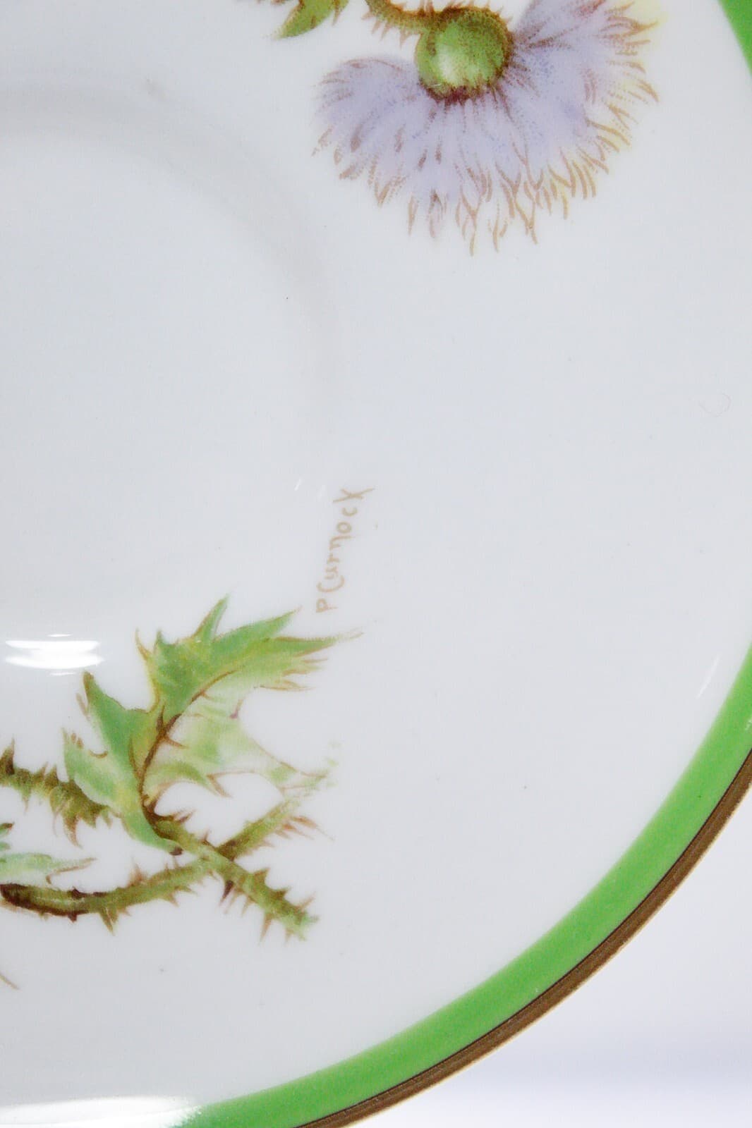 ROYAL DOULTON England Glamis Thistle Signed P. Curnock Porcelain Cup & Saucer - Thumbnail 9