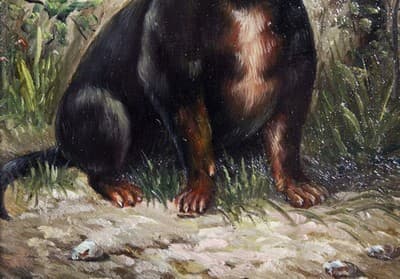 20th C Dachshund Puppy Oil On Board Painted Artist Signed Gilt Frame Painting - Thumbnail 7
