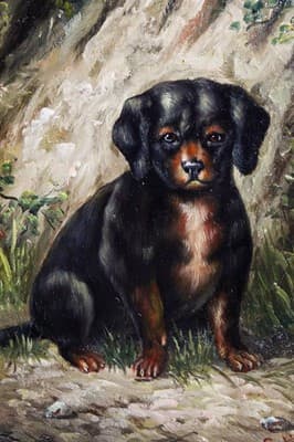 20th C Dachshund Puppy Oil On Board Painted Artist Signed Gilt Frame Painting - Thumbnail 2