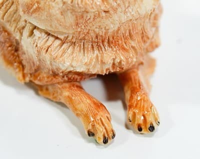 EVE PEARCE Hand Crafted England Pomeranian Dog Porcelain Figure OOAK - Thumbnail 6