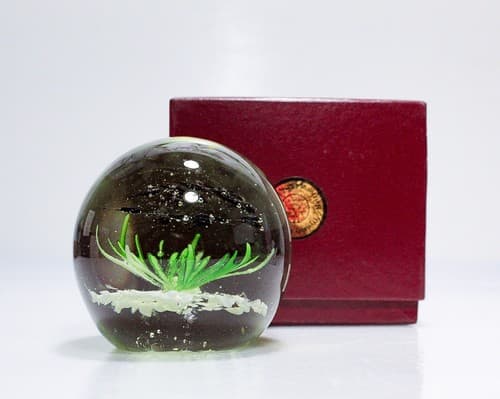 Vintage Art Glass School of Fish Aquarium Design Paperweight Sculpture - Thumbnail 2