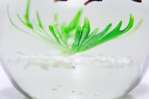 Vintage Art Glass School of Fish Aquarium Design Paperweight Sculpture - Thumbnail 5
