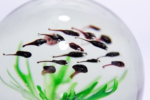 Vintage Art Glass School of Fish Aquarium Design Paperweight Sculpture - Thumbnail 4