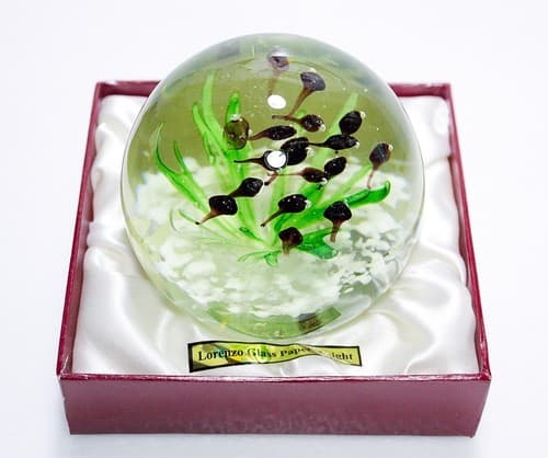 Vintage Art Glass School of Fish Aquarium Design Paperweight Sculpture - Thumbnail 10