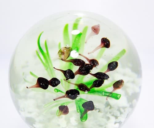 Vintage Art Glass School of Fish Aquarium Design Paperweight Sculpture - Thumbnail 6
