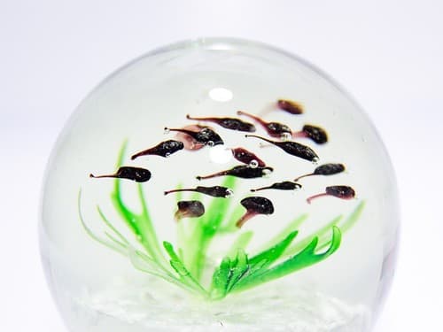 Vintage Art Glass School of Fish Aquarium Design Paperweight Sculpture - Thumbnail 3