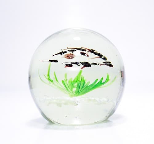 Vintage Art Glass School of Fish Aquarium Design Paperweight Sculpture - Thumbnail 7