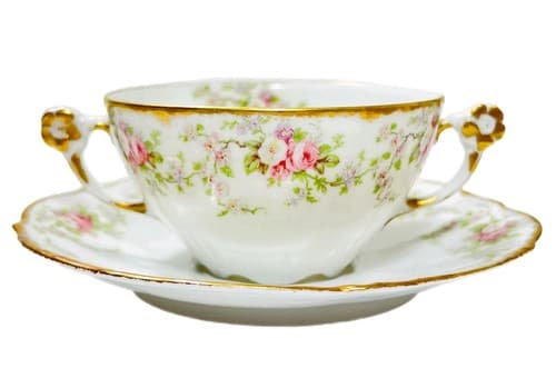 LIMOGES France Elite Works Floral Pattern Double Handle Porcelain Cup & Saucer - Image 1