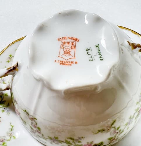 LIMOGES France Elite Works Floral Pattern Double Handle Porcelain Cup & Saucer - Thumbnail 4