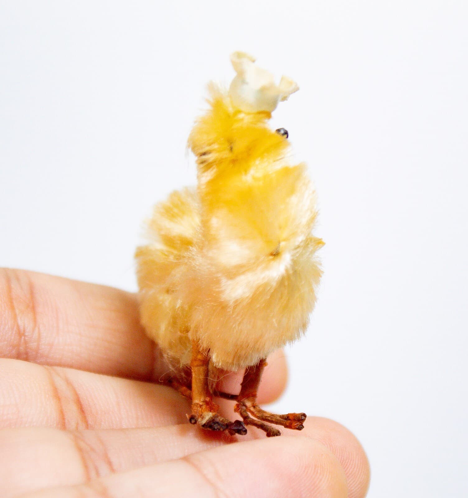 Vintage Japanese Chenille Feather Easter Yellow Fluffy Chick Animal Figurine 2" - Thumbnail 5