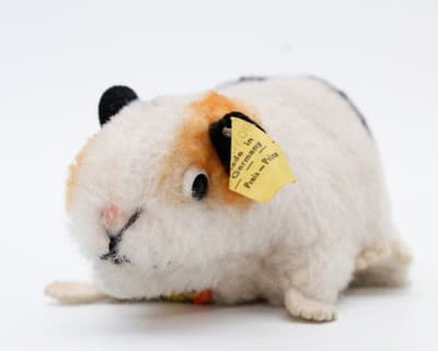 Steiff Swinny Guinea Pig Germany Yellow Tag Button Plush Stuffed Animal Vintage - Thumbnail 2
