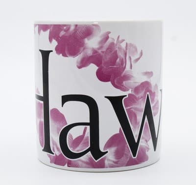 Starbucks 2007 Hawaii Ceramic Large Collector Series Coffee City Mug - Thumbnail 5