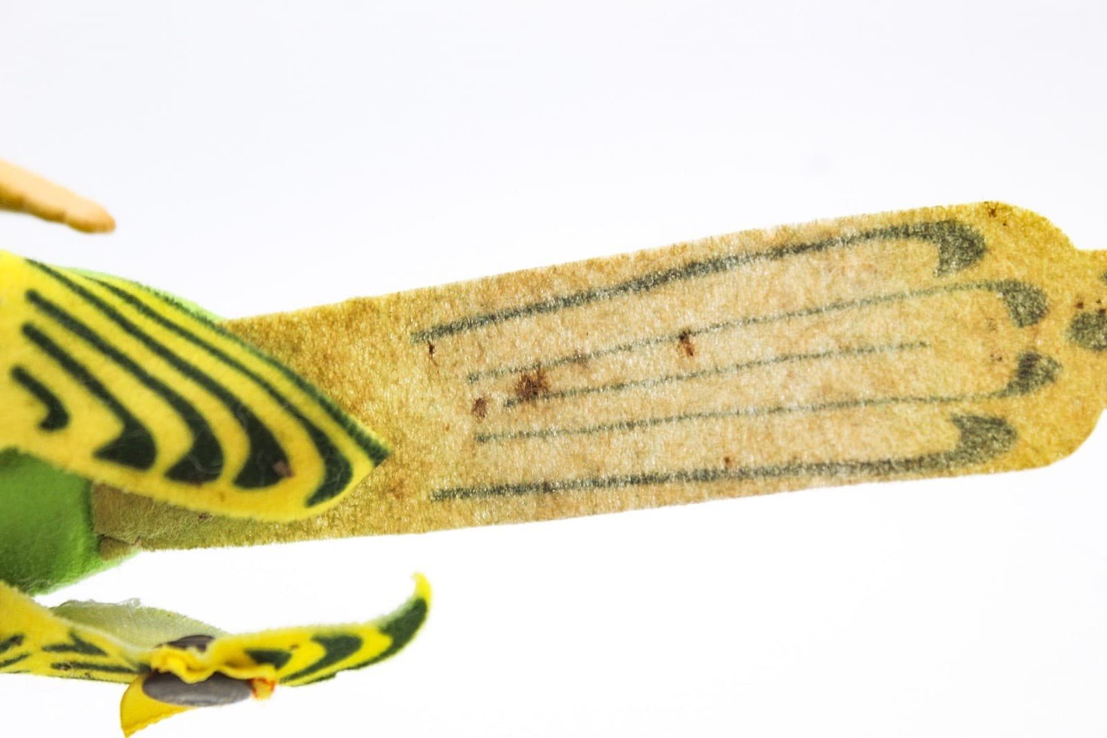 Steiff Hansi Parakeet Vintage Made In Germany Velvet Trevira Bird Stuffed Animal - Thumbnail 11
