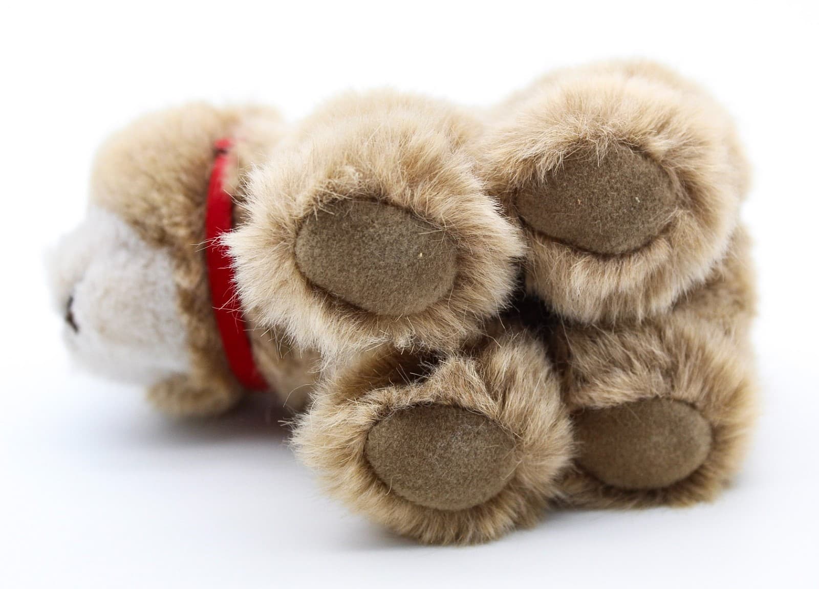 Steiff Browny Grizzly Bear Cub #1445/12 Germany Stuffed Animal Plush 1970's - Thumbnail 8