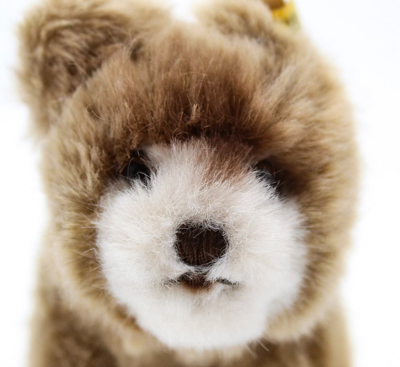 Steiff Browny Grizzly Bear Cub #1445/12 Germany Stuffed Animal Plush 1970's - Thumbnail 2