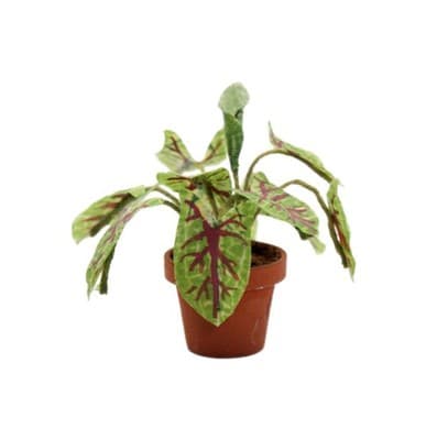 Vintage Artisan Caladium Model Exotic Miniature Dollhouse House Plant 1:12 - Image 1