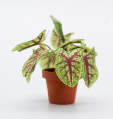 Vintage Artisan Caladium Model Exotic Miniature Dollhouse House Plant 1:12 - Thumbnail 4