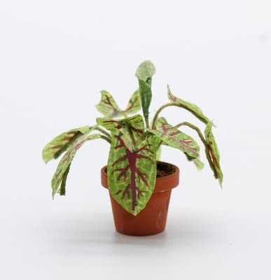 Vintage Artisan Caladium Model Exotic Miniature Dollhouse House Plant 1:12 - Thumbnail 6
