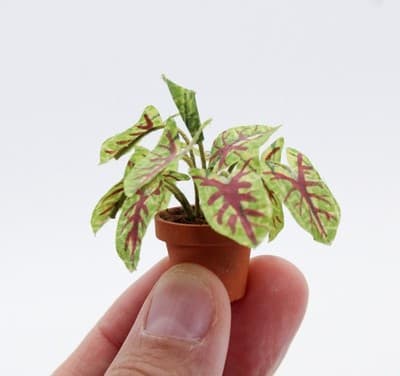 Vintage Artisan Caladium Model Exotic Miniature Dollhouse House Plant 1:12 - Thumbnail 2