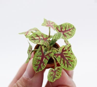 Vintage Artisan Caladium Model Exotic Miniature Dollhouse House Plant 1:12 - Thumbnail 3