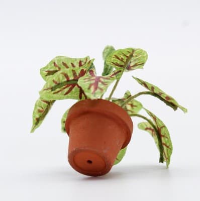 Vintage Artisan Caladium Model Exotic Miniature Dollhouse House Plant 1:12 - Thumbnail 5