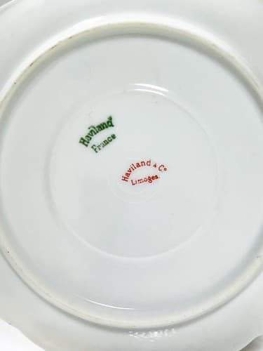 LIMOGES France Haviland & Co. Floral Pattern Porcelain Cup & Saucer - Thumbnail 5