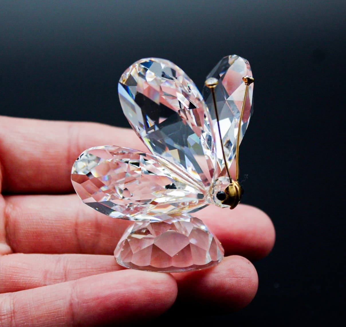 Swarovski Crystal Butterfly Gold Antennae Figurine Retired 7639NR055 - Thumbnail 7