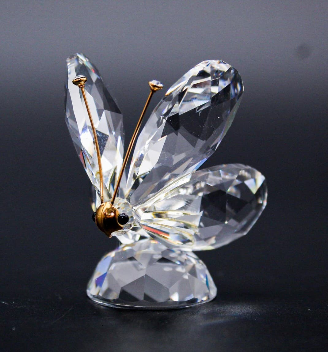 Swarovski Crystal Butterfly Gold Antennae Figurine Retired 7639NR055 - Thumbnail 10