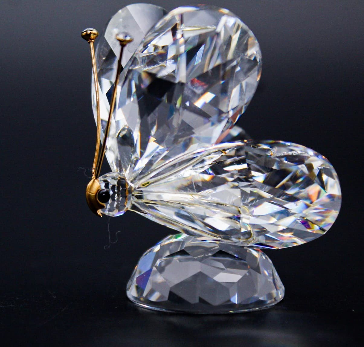 Swarovski Crystal Butterfly Gold Antennae Figurine Retired 7639NR055 - Thumbnail 4