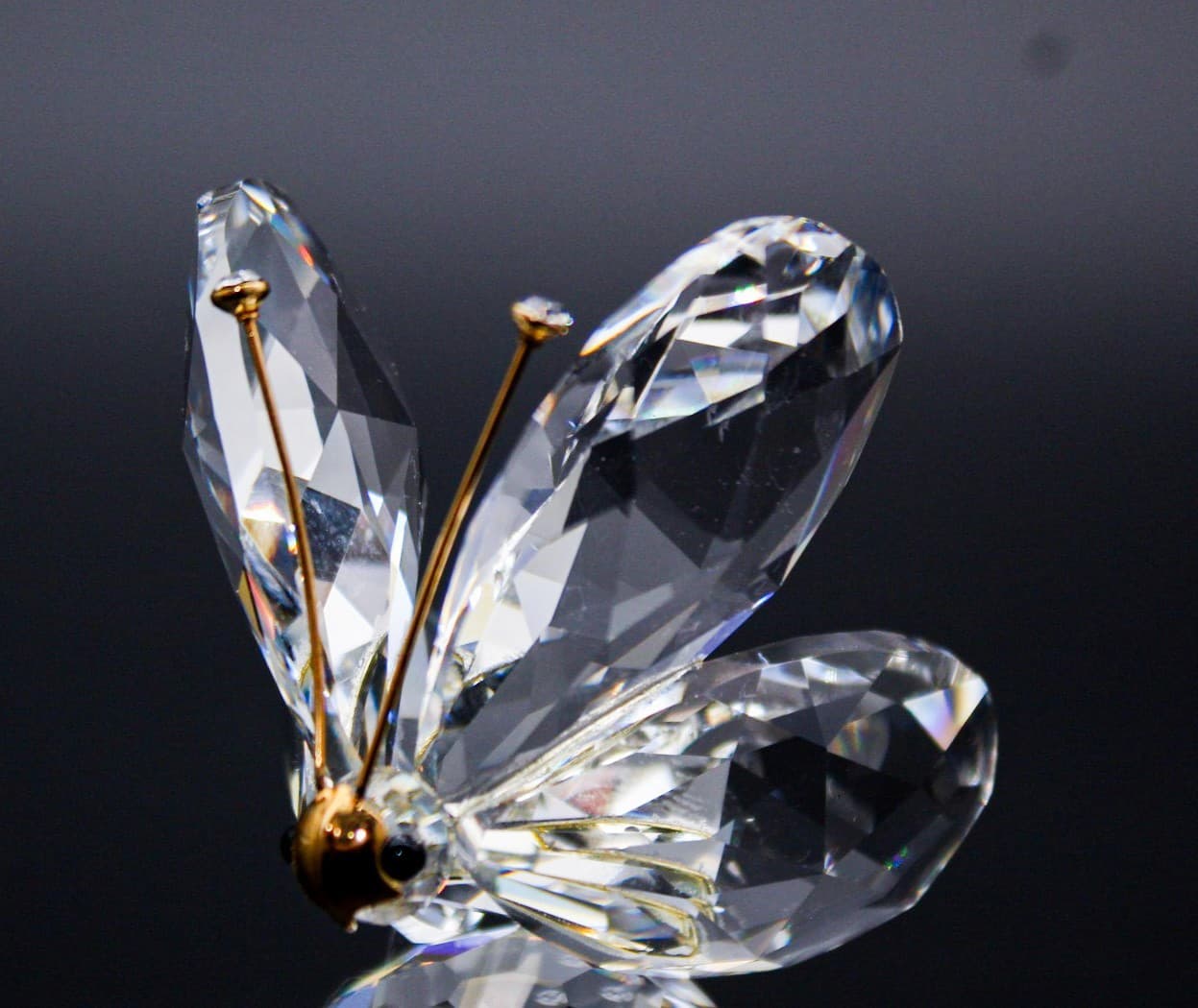 Swarovski Crystal Butterfly Gold Antennae Figurine Retired 7639NR055 - Thumbnail 2