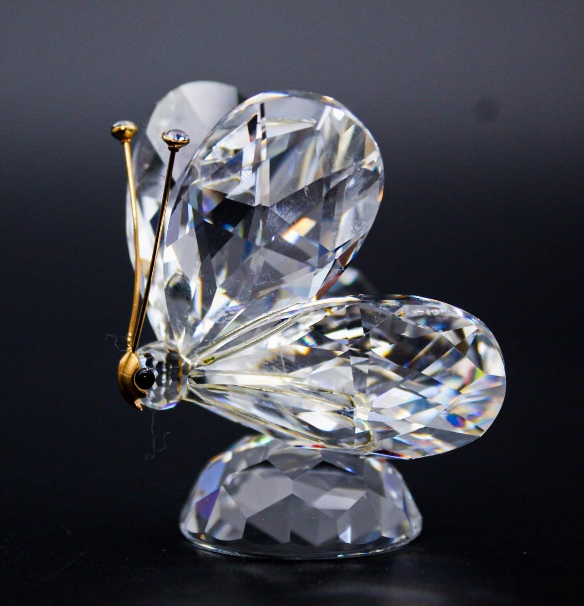 Swarovski Crystal Butterfly Gold Antennae Figurine Retired 7639NR055 - Thumbnail 3