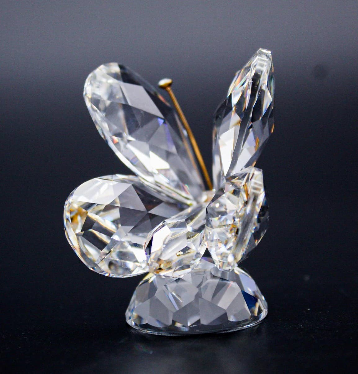 Swarovski Crystal Butterfly Gold Antennae Figurine Retired 7639NR055 - Thumbnail 5