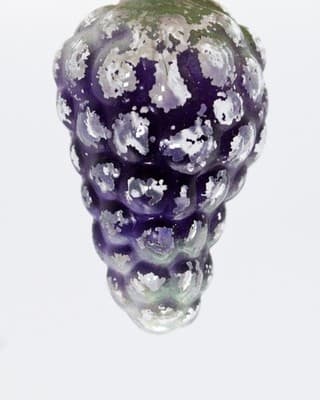 Vintage Hand Painted Glass Grape Cluster Motif Christmas Light Bulb - Thumbnail 3