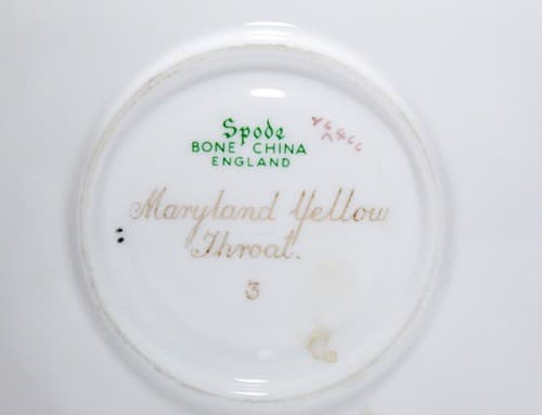SPODE Bone China England Birds Motif Decorative Cup & Saucer - Thumbnail 9
