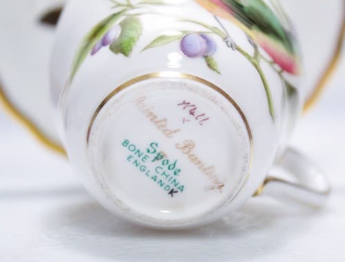 SPODE Bone China England Birds Motif Decorative Cup & Saucer - Thumbnail 8