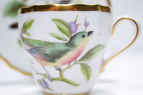 SPODE Bone China England Birds Motif Decorative Cup & Saucer - Thumbnail 5