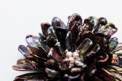 Vtg Natural Peacock Baroque Pearl & Seed Pearl Floral Statement Pin Brooch - Thumbnail 5
