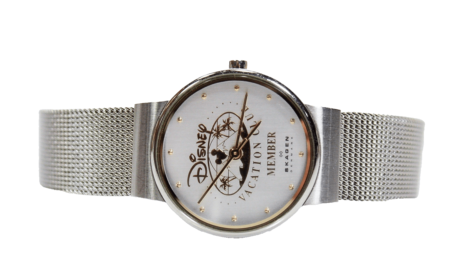 Disney DVC Vacation Club Member SKAGEN Denmark Stainless Steel Watch