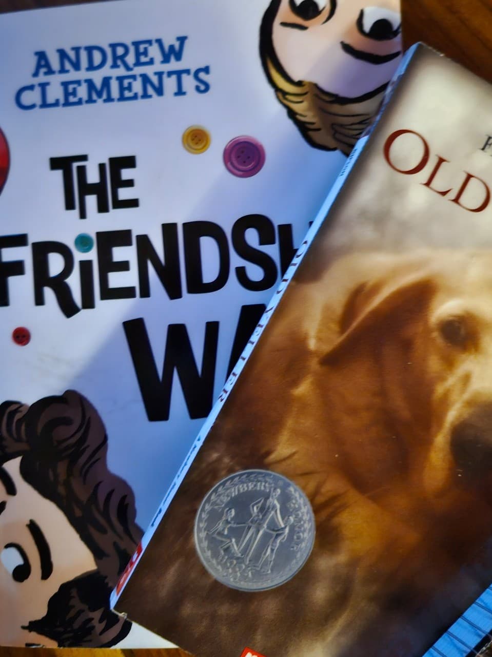 4 book bundle. Chapter books - Thumbnail 4