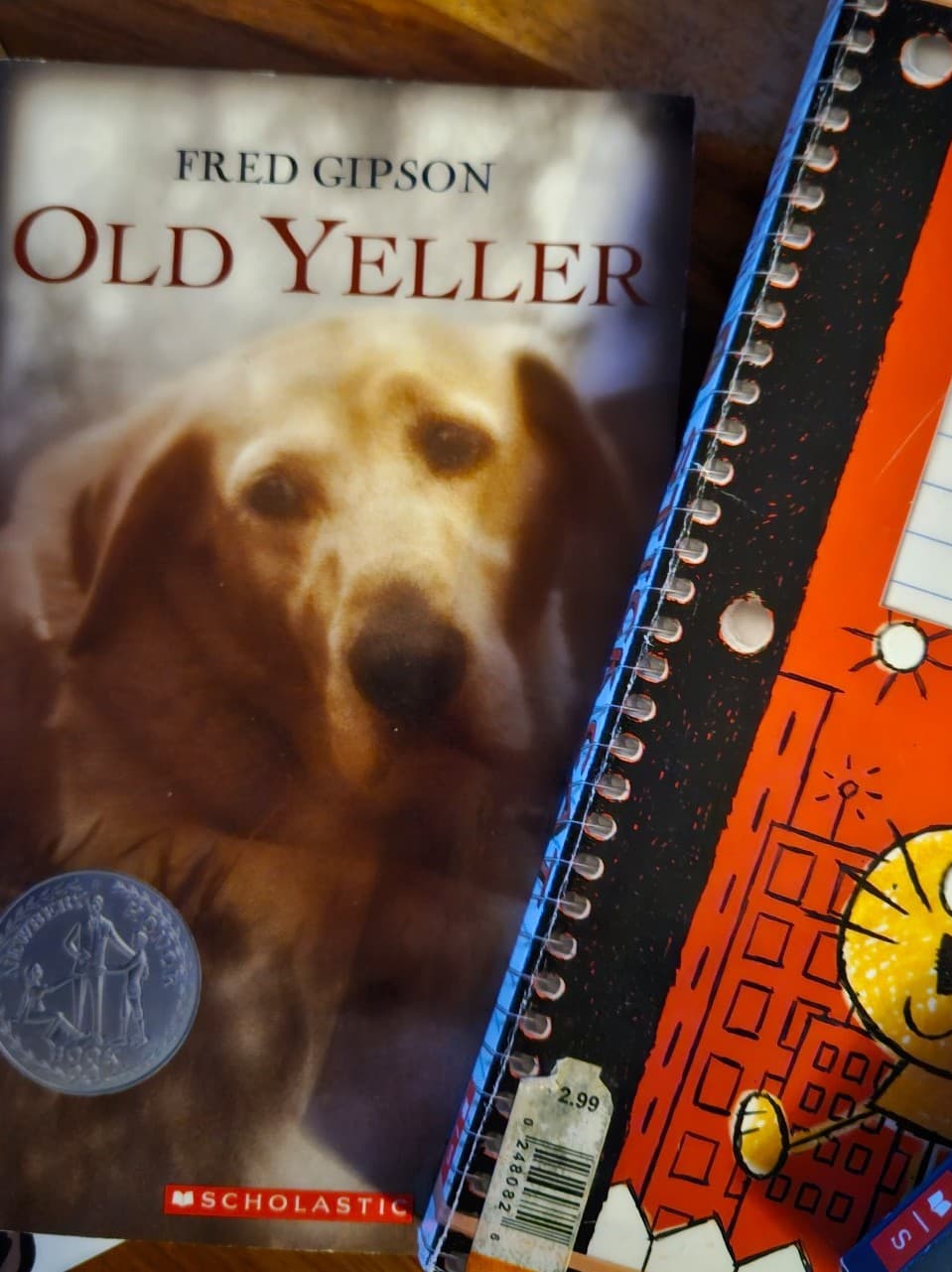 4 book bundle. Chapter books - Thumbnail 3