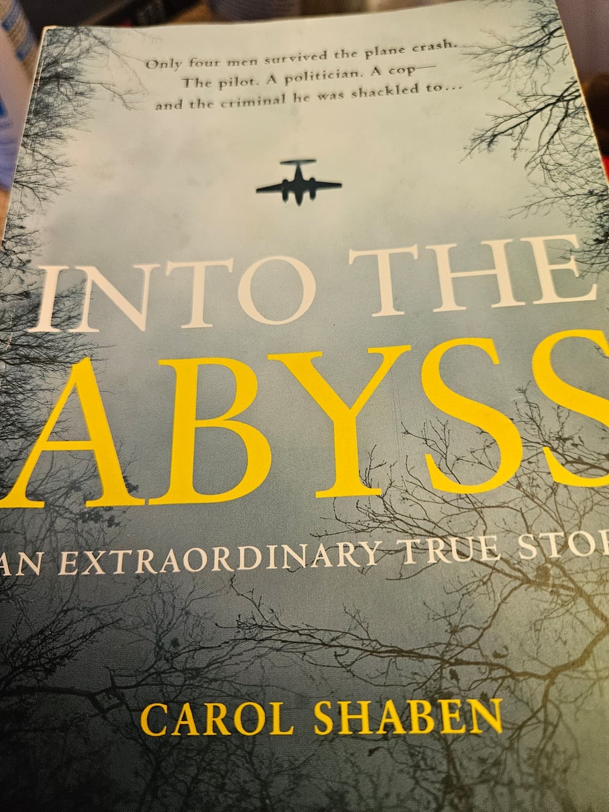 Into the Abyss. Paperback Carol Shaben - Image 1