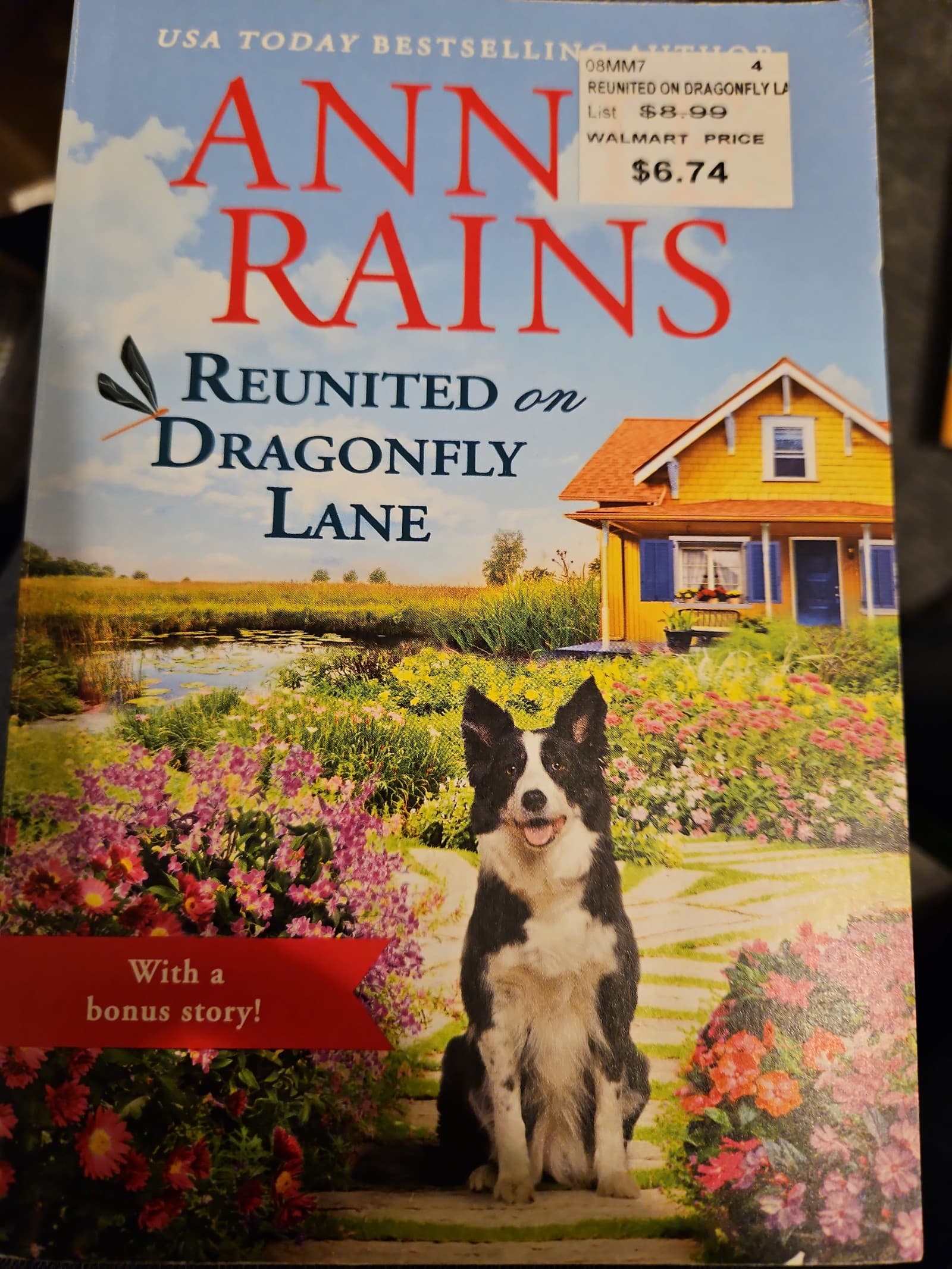 Reunited on dragonfly lane - Image 1