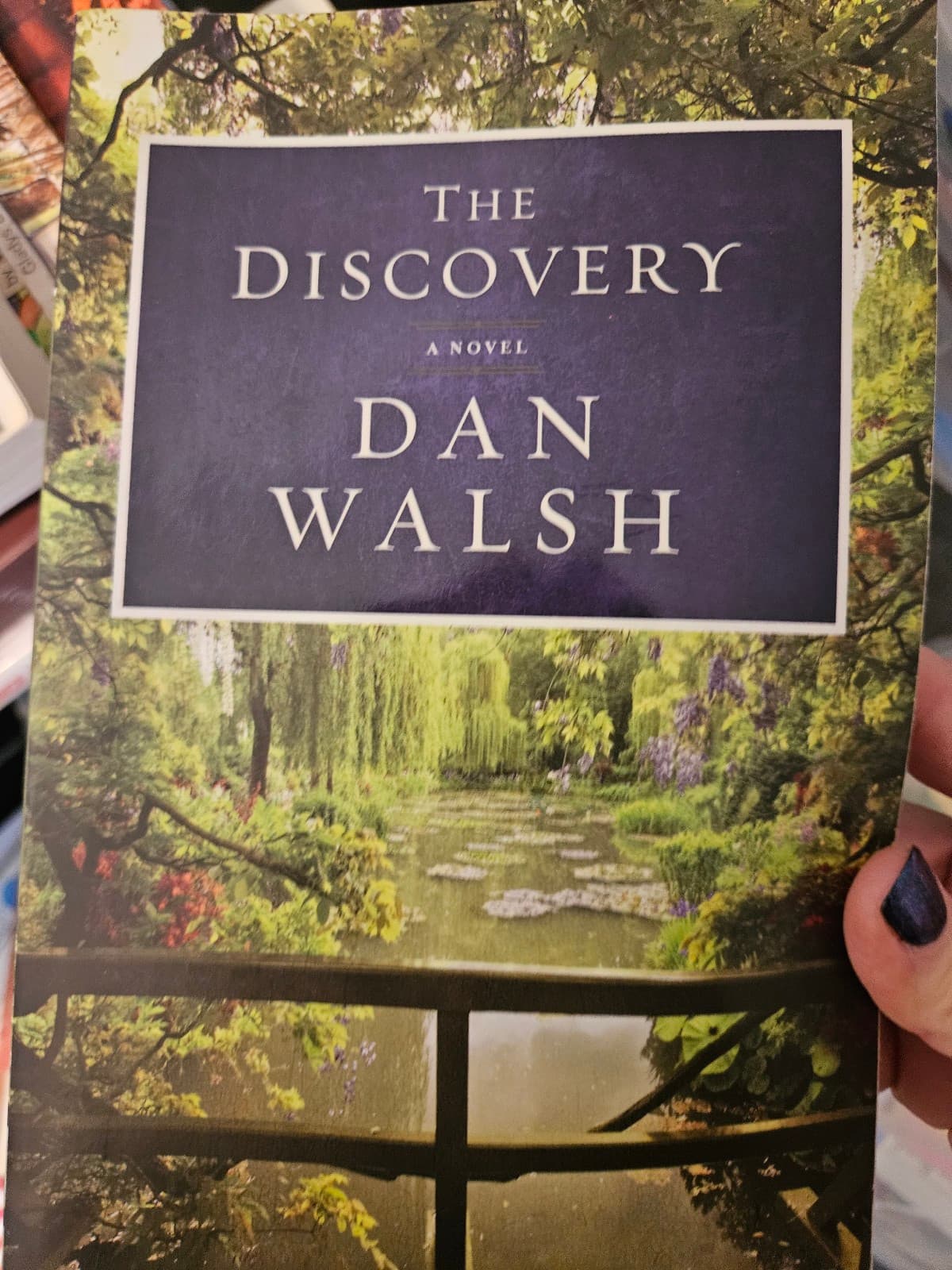 The discovery. Dan walsh - Image 1