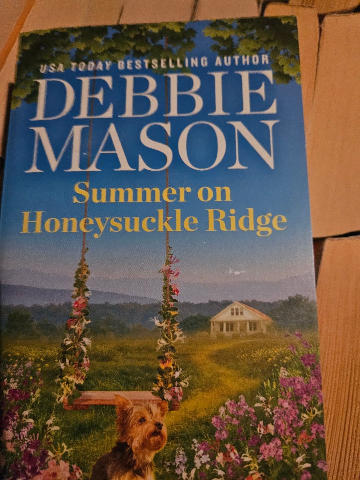 Summer on honeysuckle road. Denbie mason. Buy 1 adult book get 1 free - Image 1