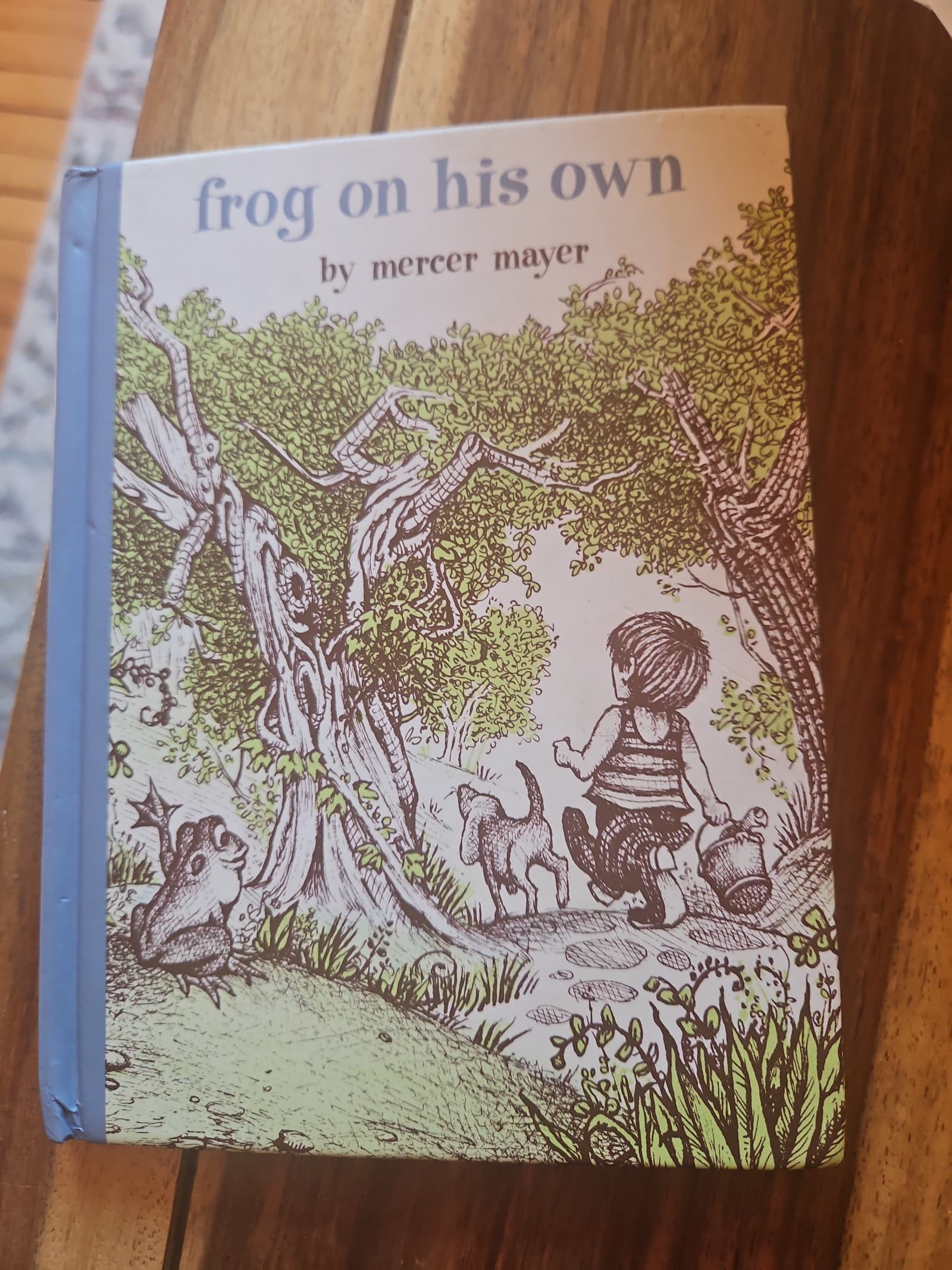 Frog on his own. Hardcover. Mercer mayer. Buy 3 get 1 free. Must get ahold of me - Image 1